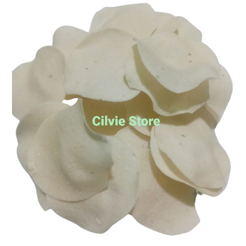 

Kerupuk/Krupuk Kentang Putih Asli Dari Batu Malang MENTAH Kemasan 250 Gram | 500 Gram | 1 Kg