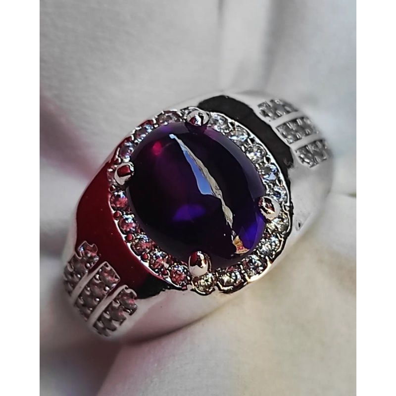 KECUBUNG UNGU KRIBANG KECUBUNG UNGU TUA KECUBUNG UNGU PANGKALANBUN