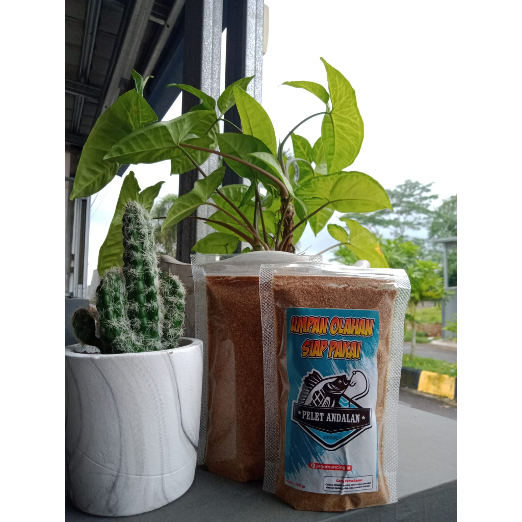 Umpan ikan mas Andalan umpan lomba dan harian