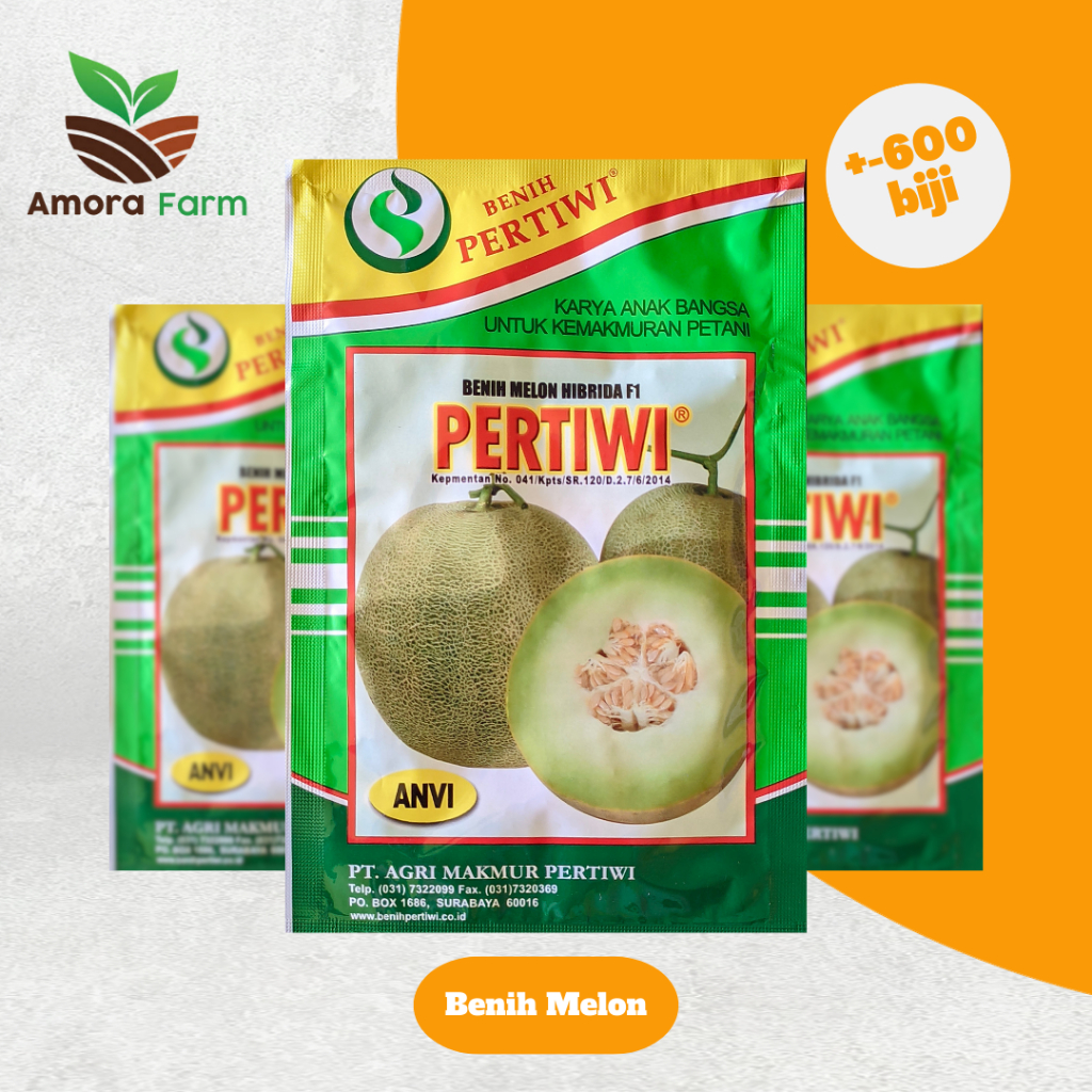 Benih melon PERTIWI Anvi 600 biji