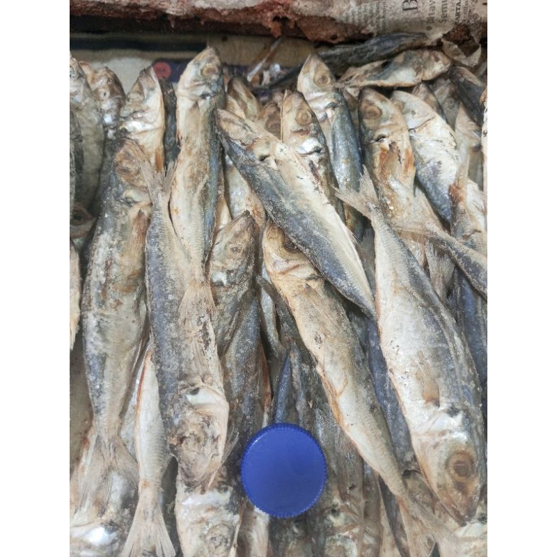 

ASIN PEDA LAYANG/JAPUH