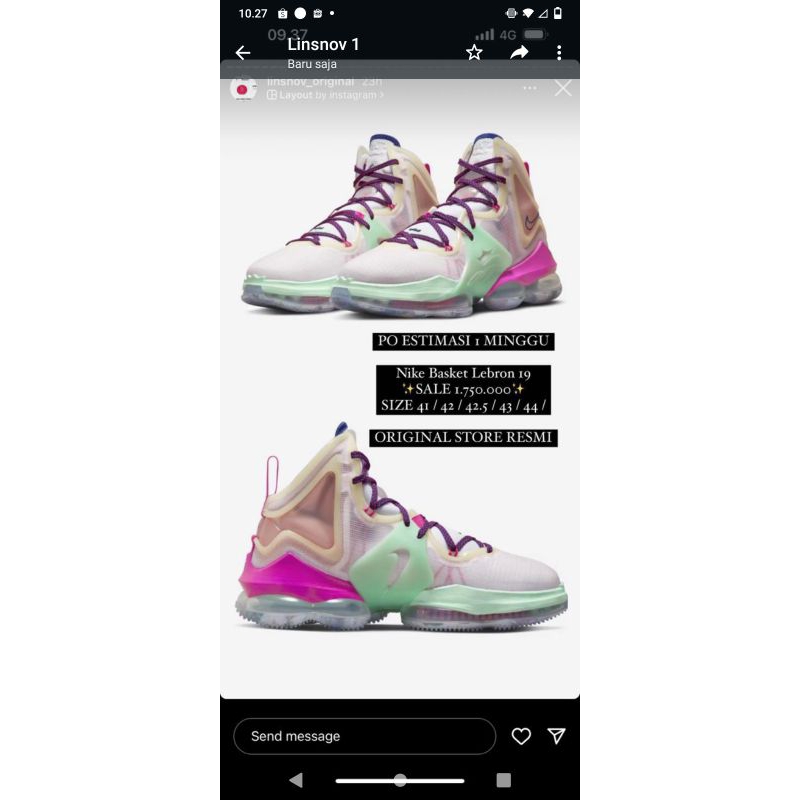 nike basket lebron 19 multicolor size 41