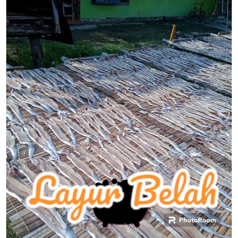 

IKAN ASIN LAYUR BELAH 1KG