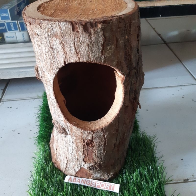 Glodok Kayu Pohon burung