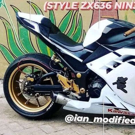 Body custom Zx636 untuk ninja 250fi