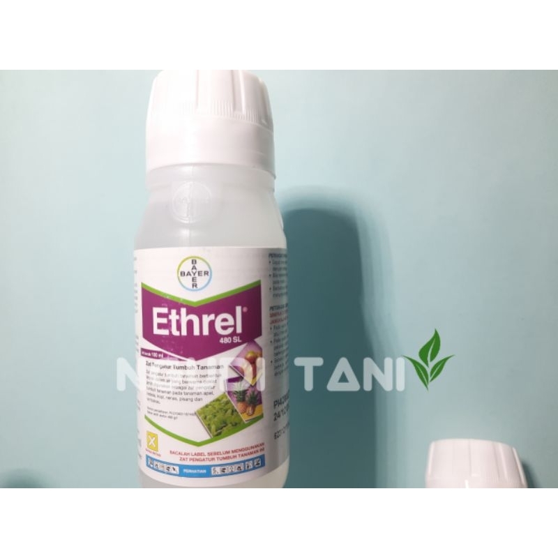Ethrel pematang buah