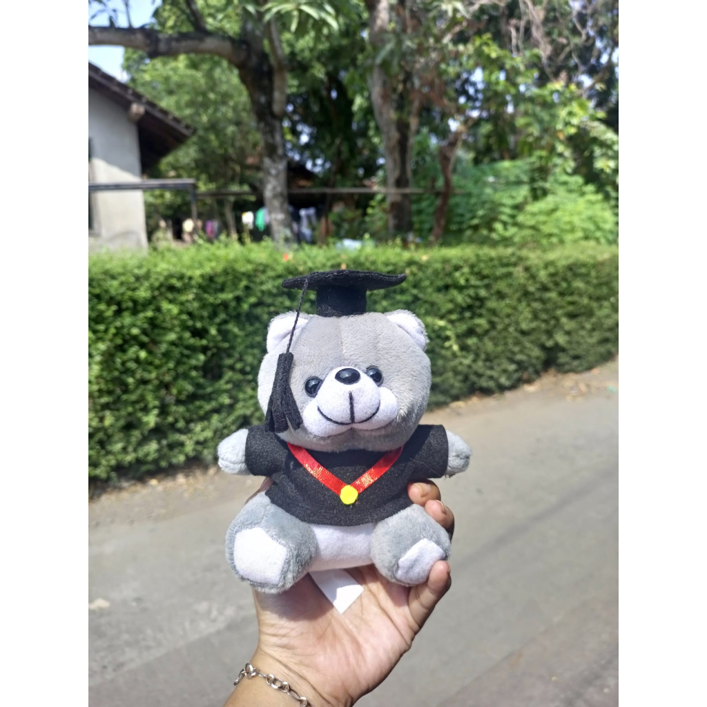 BONEKA WISUDA 13 CM | BEAR MINI | BONEKA TOGA | BEAR MINI TOGA