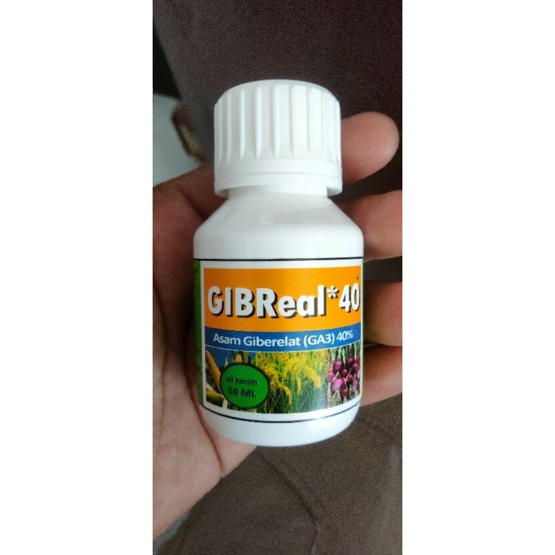 GA3 Cair ( Gibreal 40%)