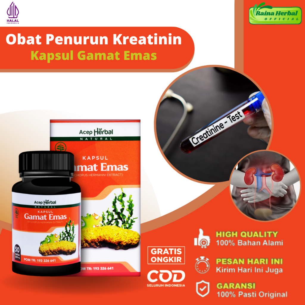 Raina Herbal - Obat Penurun Kreatinin Dan Ureum, Obat Kelebihan Kreatinin, Obat Untuk Menormalkan Kr