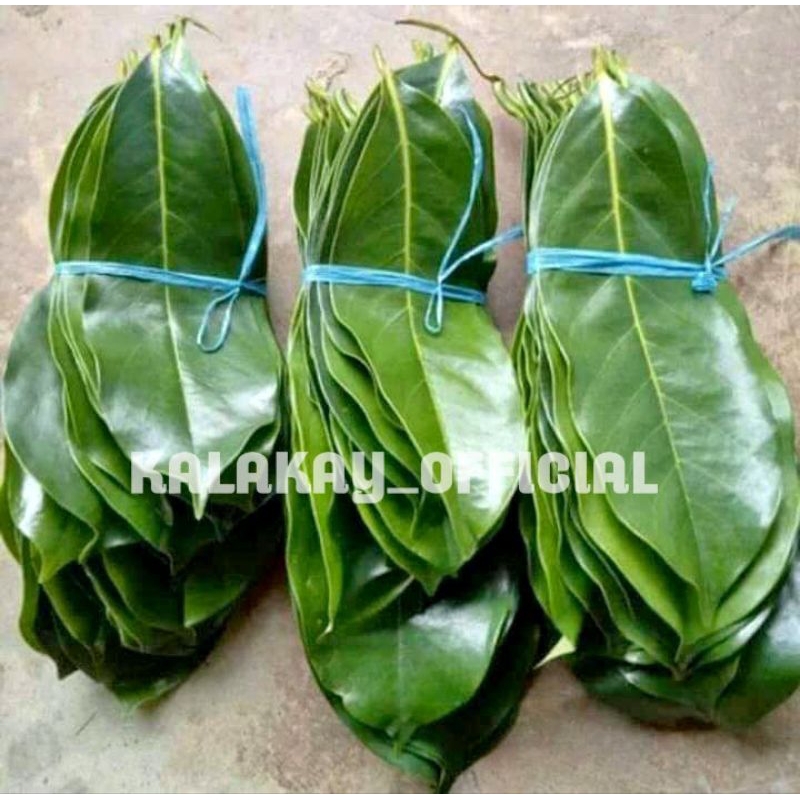 

Daun sirsak segar obat herbal organik 100grm