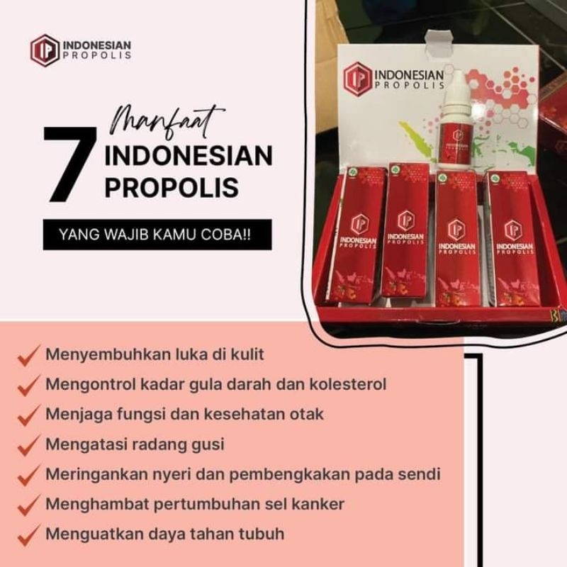 Indonesian propolis