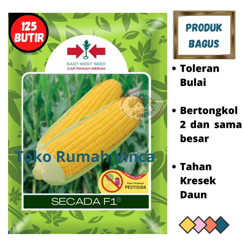 Benih Bibit Biji Jagung Manis SECADA F1 200 butir Cap Panah Merah Jagung Manis Pipil Thailand sweet