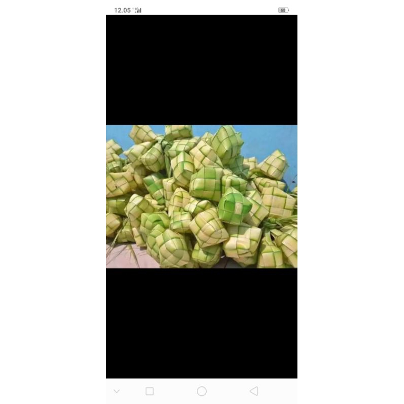 

cangkang ketupat janur kelapa 10 pcs isi besar