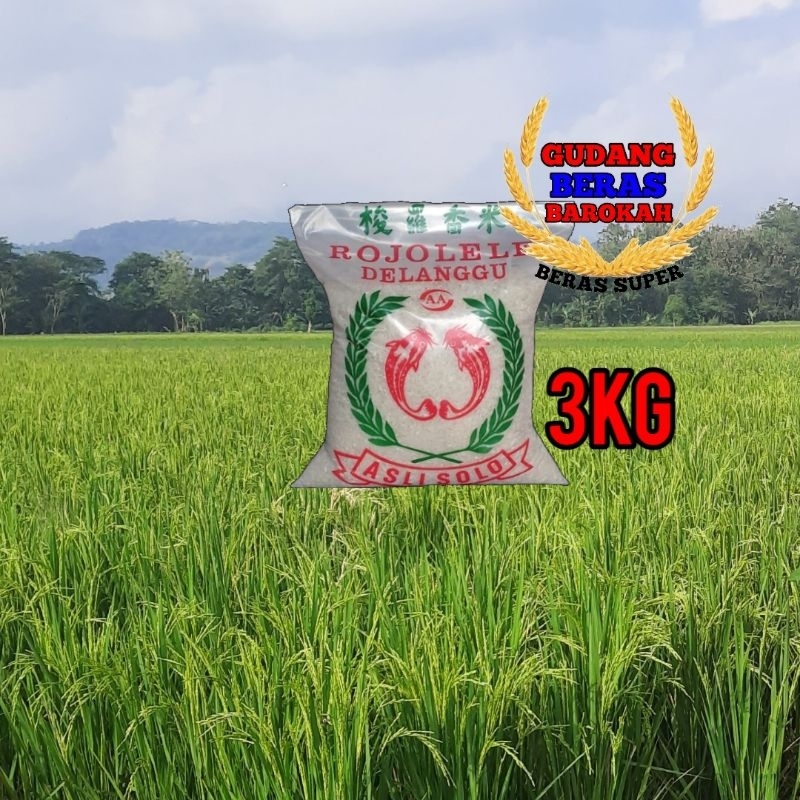 

BERAS ROJOLELE DELANGGU ASLI SOLO 3KG