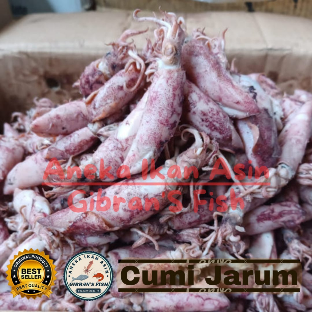 

IKAN ASIN CUMI JARUM PREMIUM 500 GR