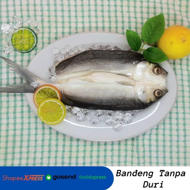 

Ikan Bandeng/ Bandeng Tanpa Duri/ Ikan Bandeng Tanpa Duri