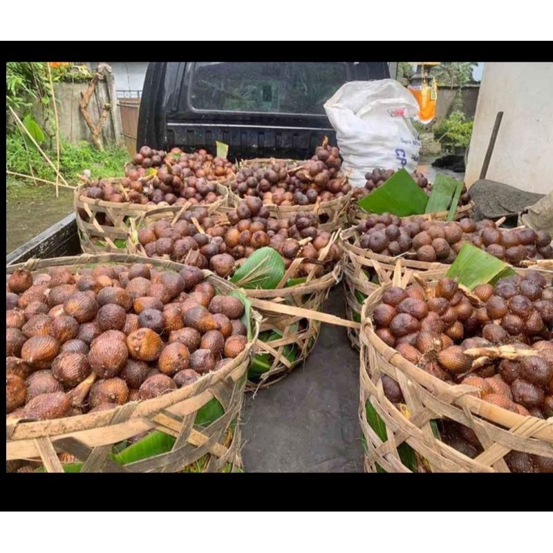 

salak gula pasir asli Bali