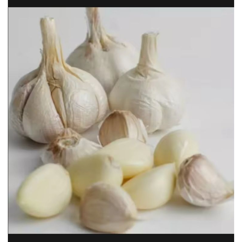 

bawang putih