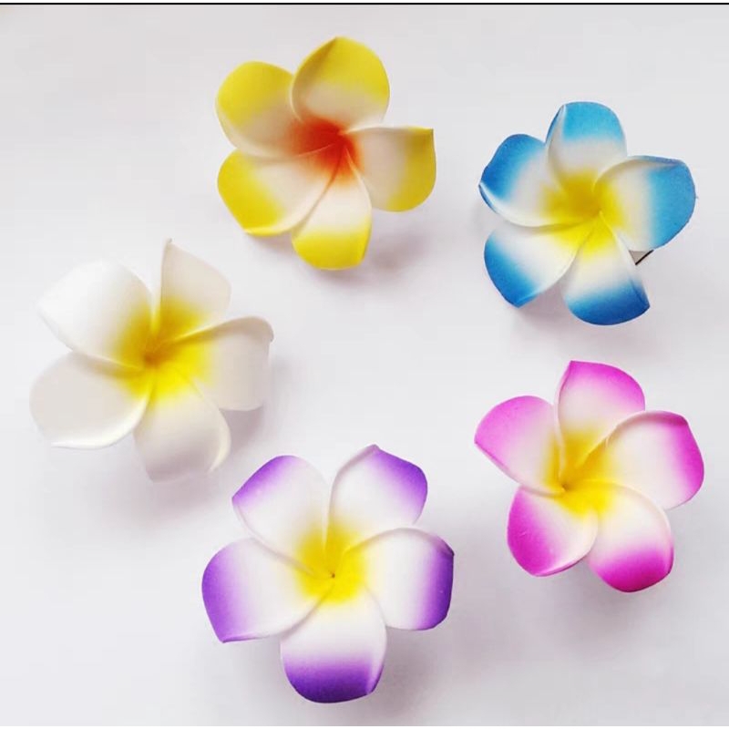 100pcs Bunga Kamboja|Bunga Kamboja Spon|Bunga Kamboja Accessories