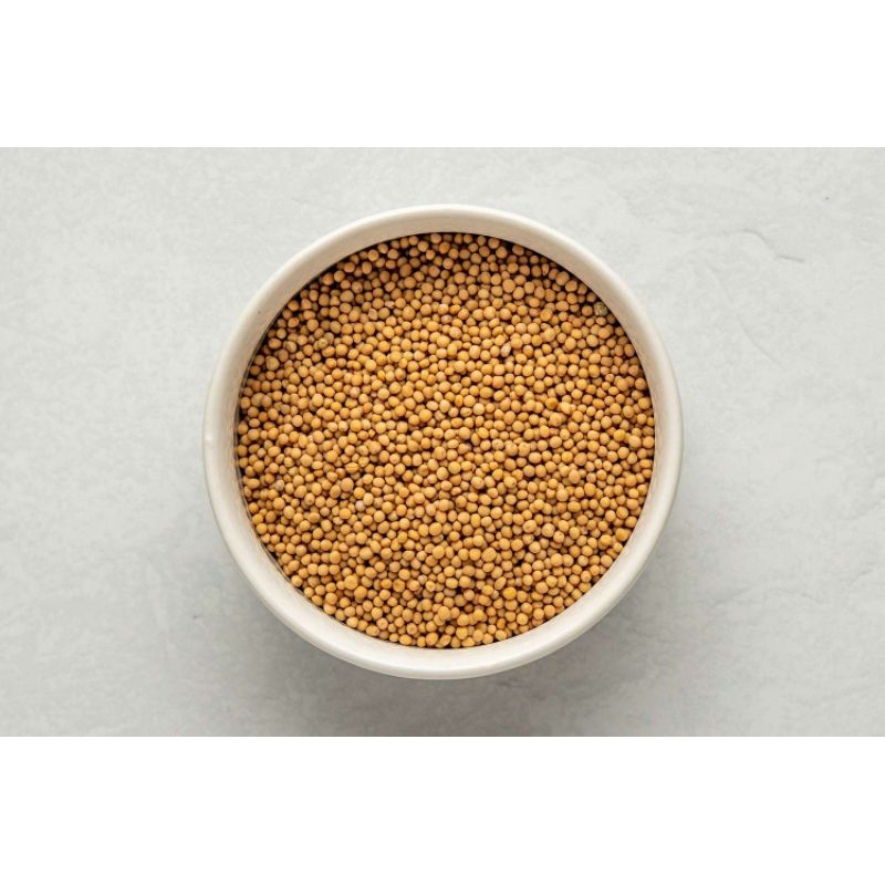 

Yellow mustard seed / Biji sawi kuning