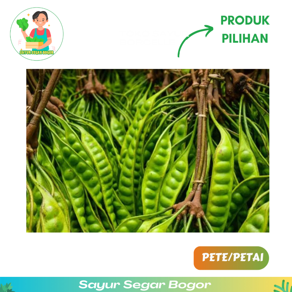 

Pete Jawa Pete petai Manis 1 papan Harga Promo