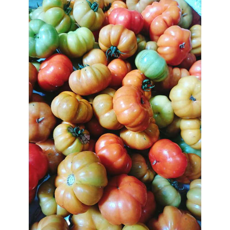 

RANTI BANYUWANGl 1 kg