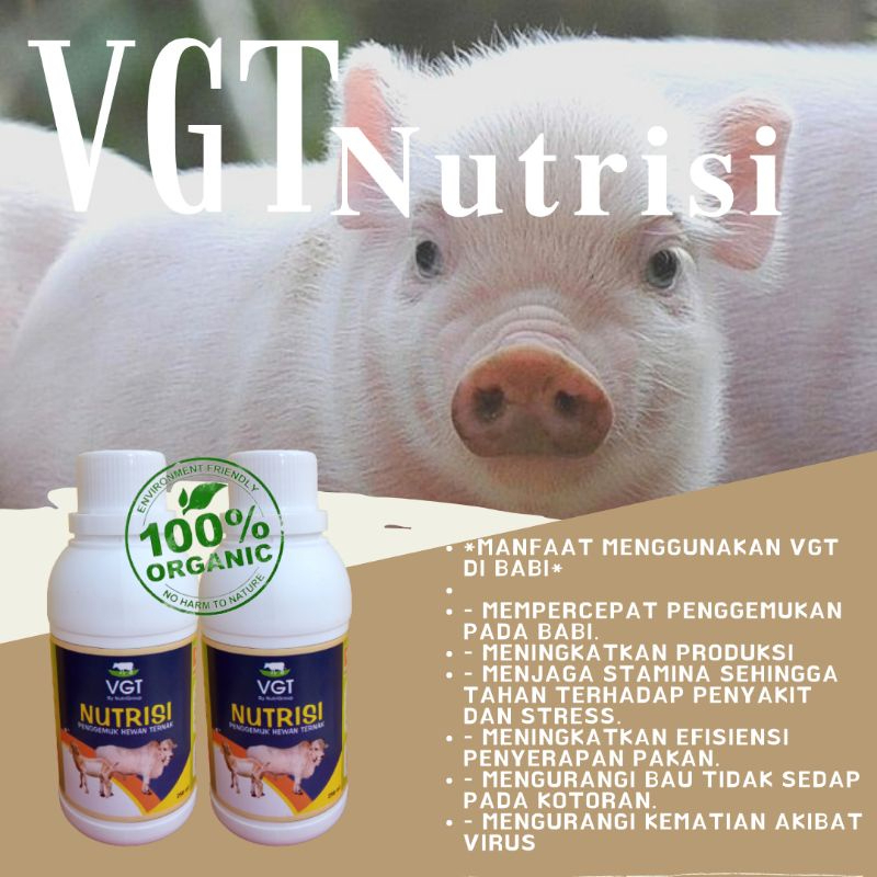 VGT NUTRISI VITAMIN TERNAK BABI