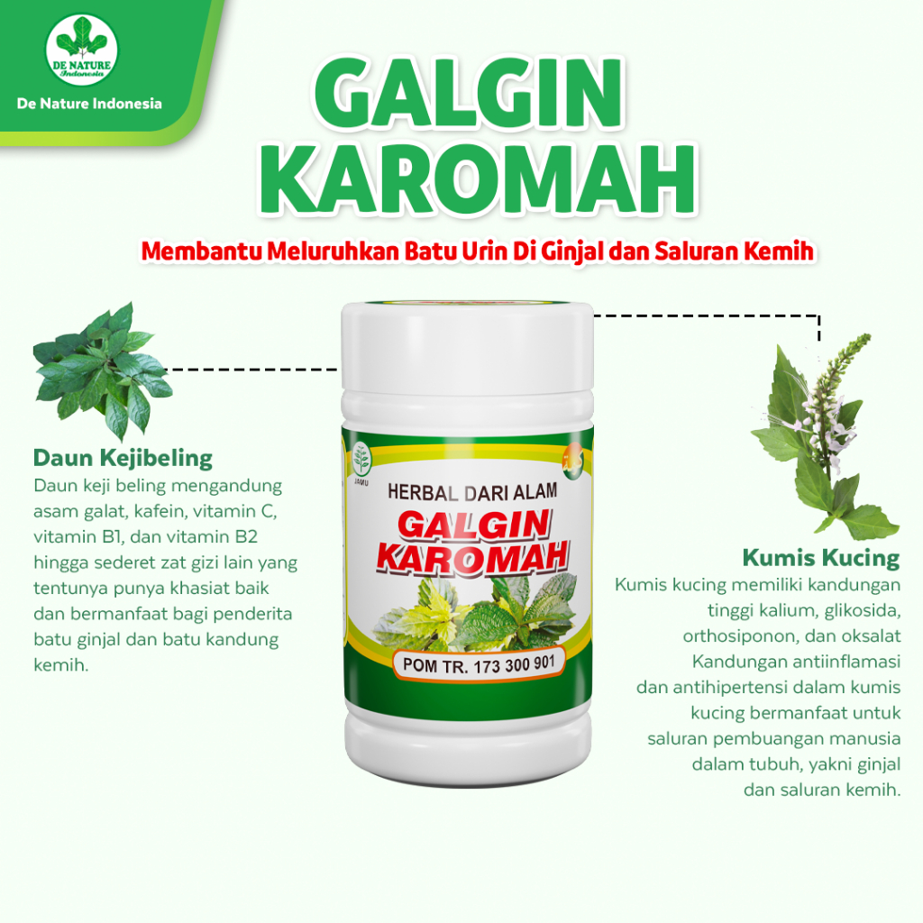 Galgin Karomah Ekstrak Kumis Kucing ASLI Original Herbal De Nature