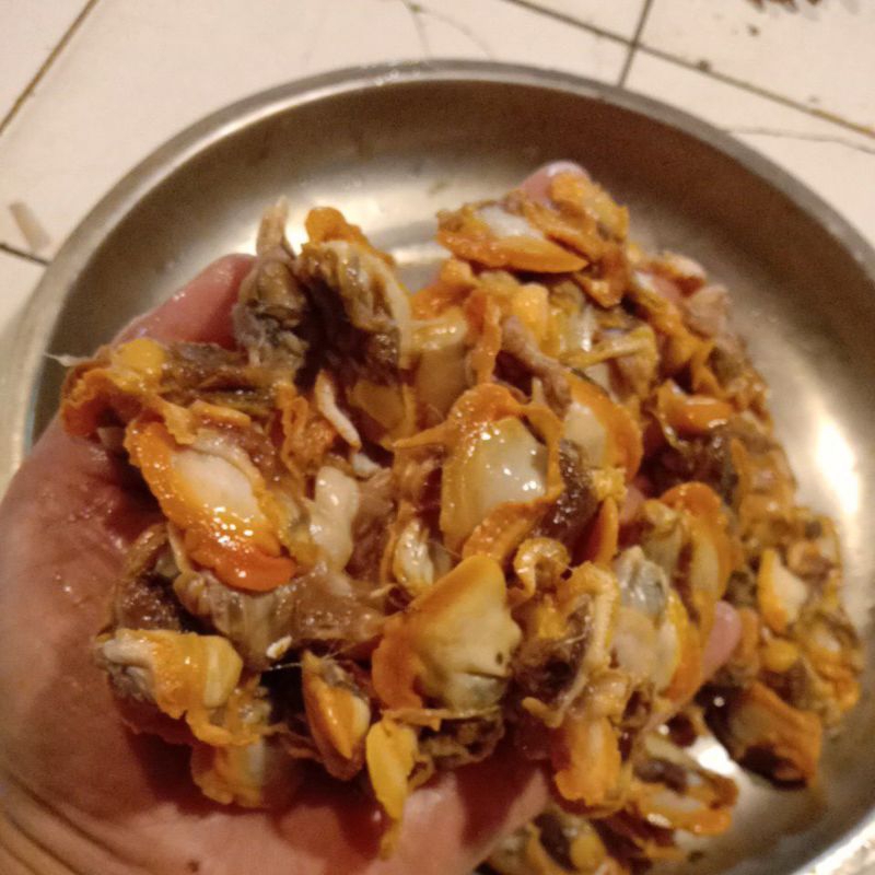 

kerang darah kupas segar