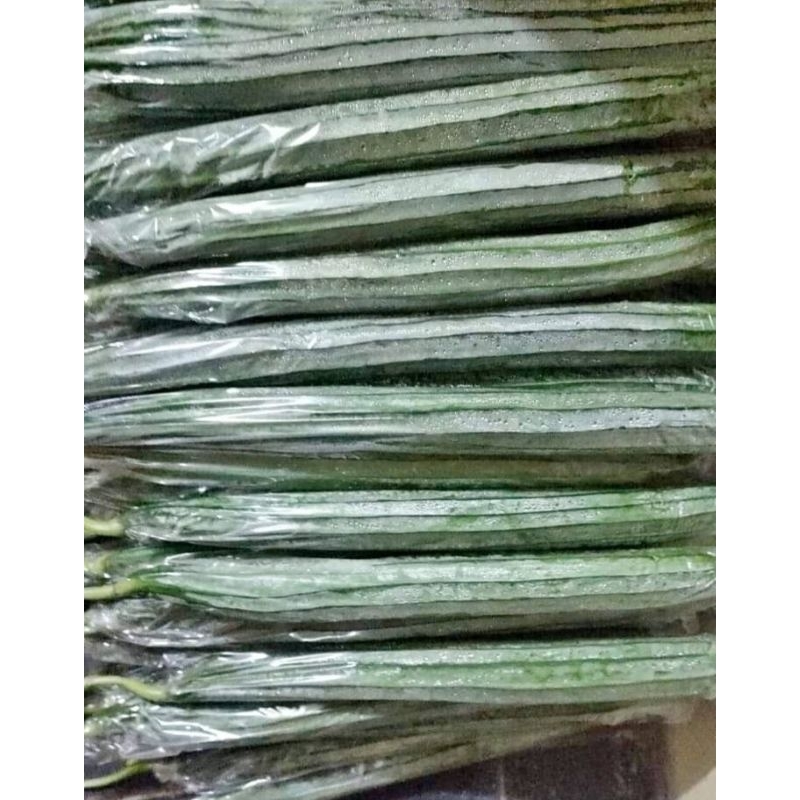 

Gambas atau oyong 1 kg