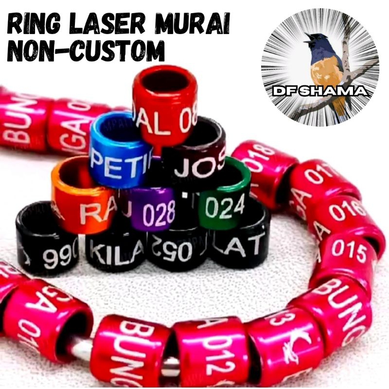Ring Laser Murai Penanda Burung Murai Ring Kaki Murai