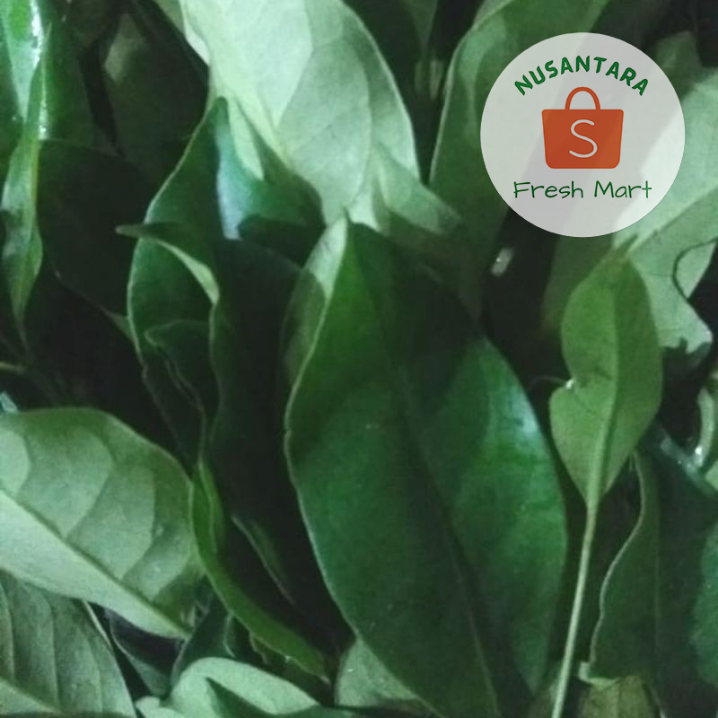 

Daun Salam Segar 1 kg