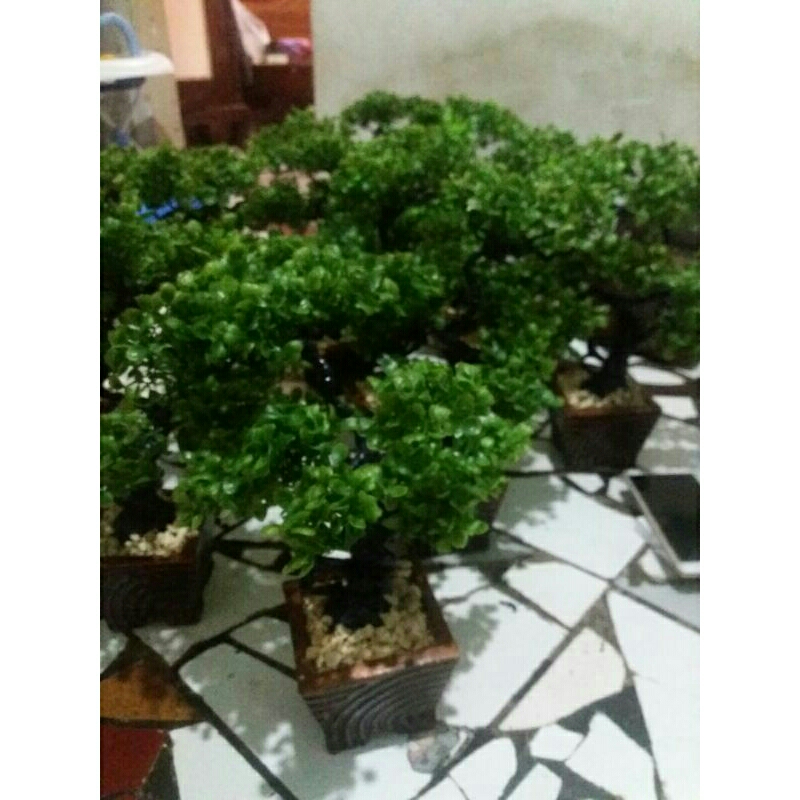 Bonsai daun SINTETIS/COD