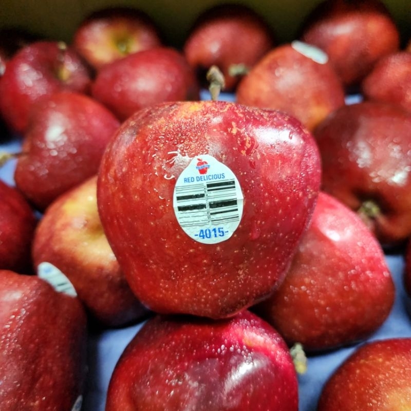 

BUAH APEL WASHINGTON RRC 900gr