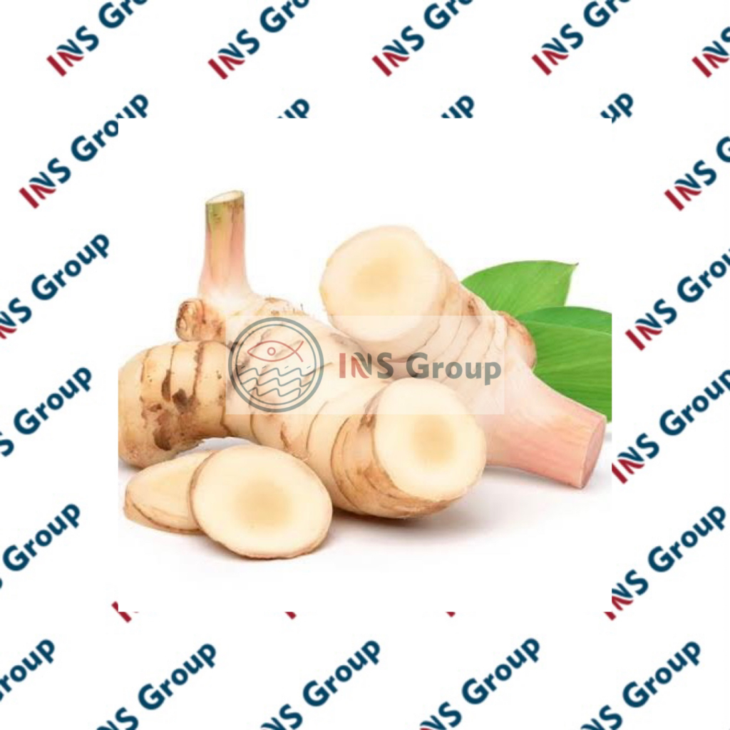 

Lengkuas 250gr / Lengkoas / Laos / Bumbu Dapur Segar