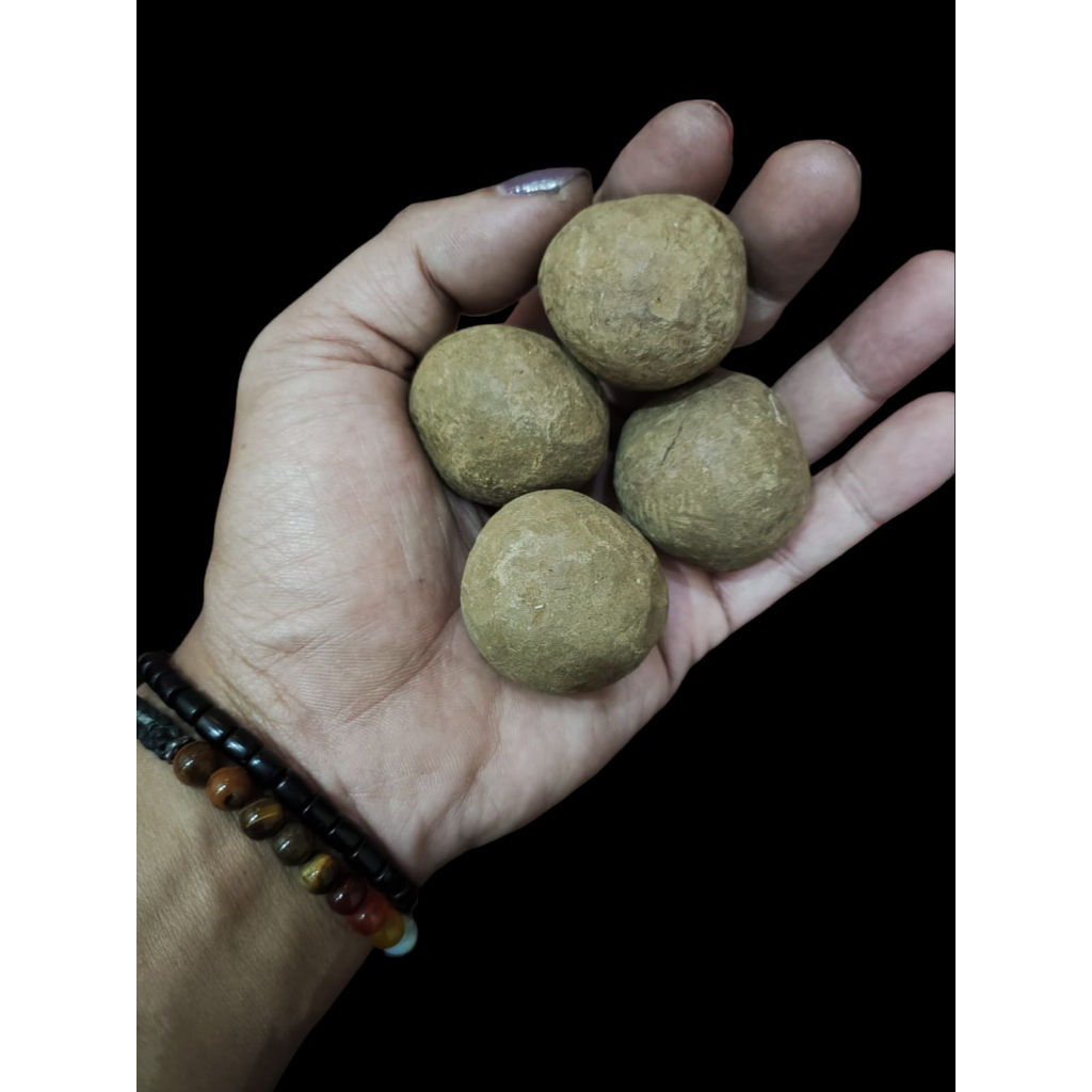 Ampo Tanah Liat / Lempung