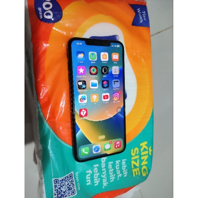iphone xs max 256 GB