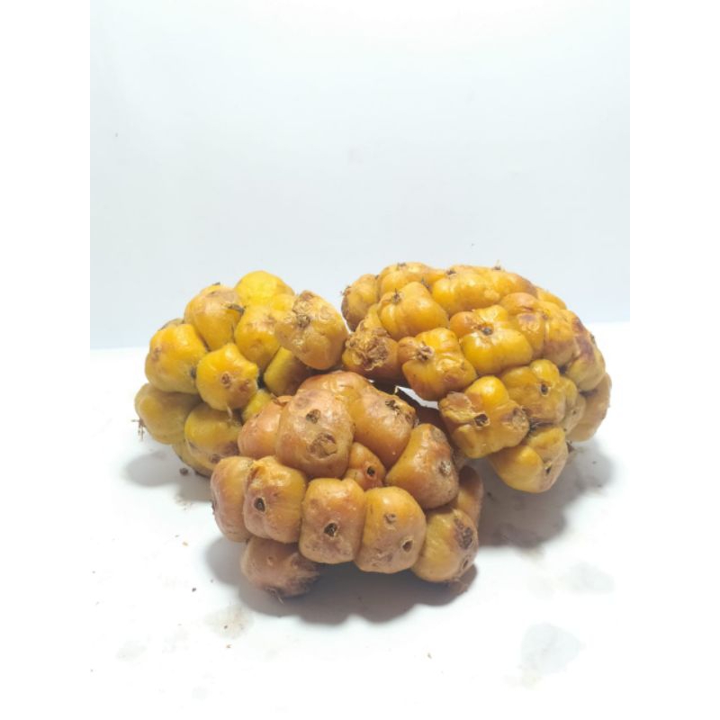 

Asam Cikala Sihala Asam Arsik Asam Medan 100 gram