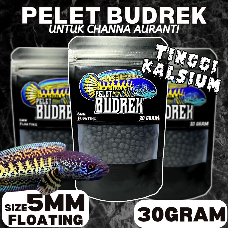 Pelet Budrek Auranti 30gram 5mm & 1,5mm untuk proges warna channa auranti biru dorsal, yellow rim da