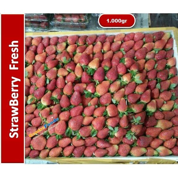 

Stroberi Lokal Fresh - Strawberry Fresh | 1.000gr [ Harga Per PACK ]
