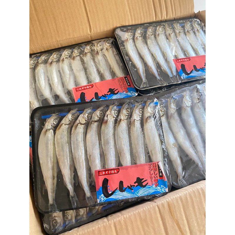 

ikan shisamo cipung viral