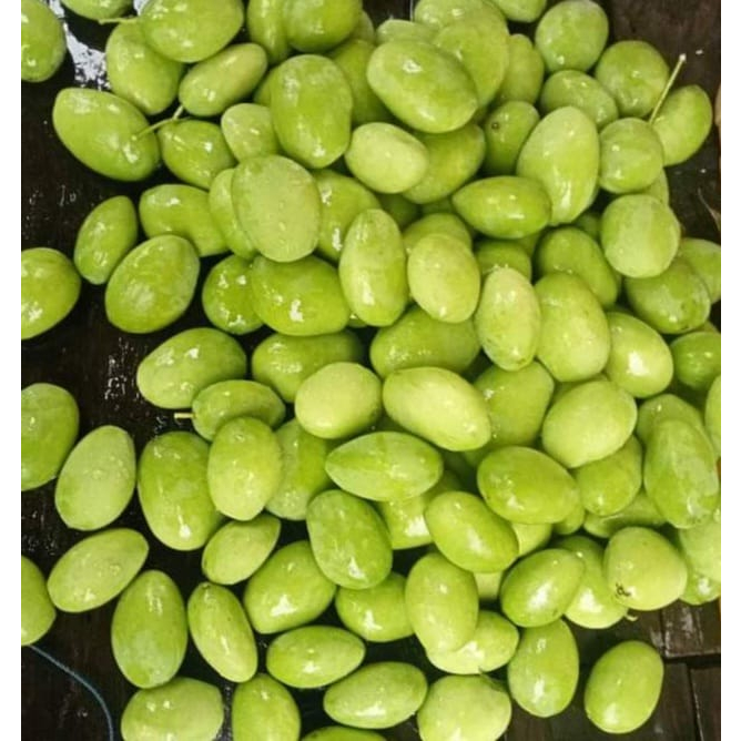 

( PENGIRIMAN CEPAT ) 1 KG MANGGA MUDA MENTAH FRESH MASAM BARU DIPETIK