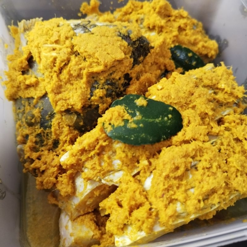 

Gurame Ungkep Bumbu Kuning