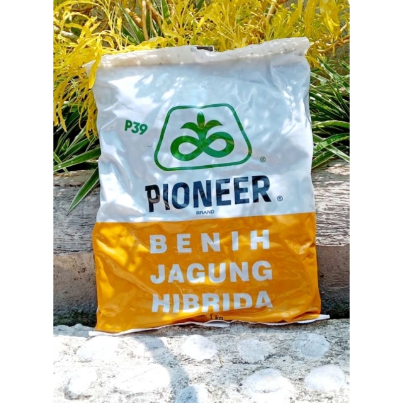 P39 Benih Jagung Hibrida | PIONEER