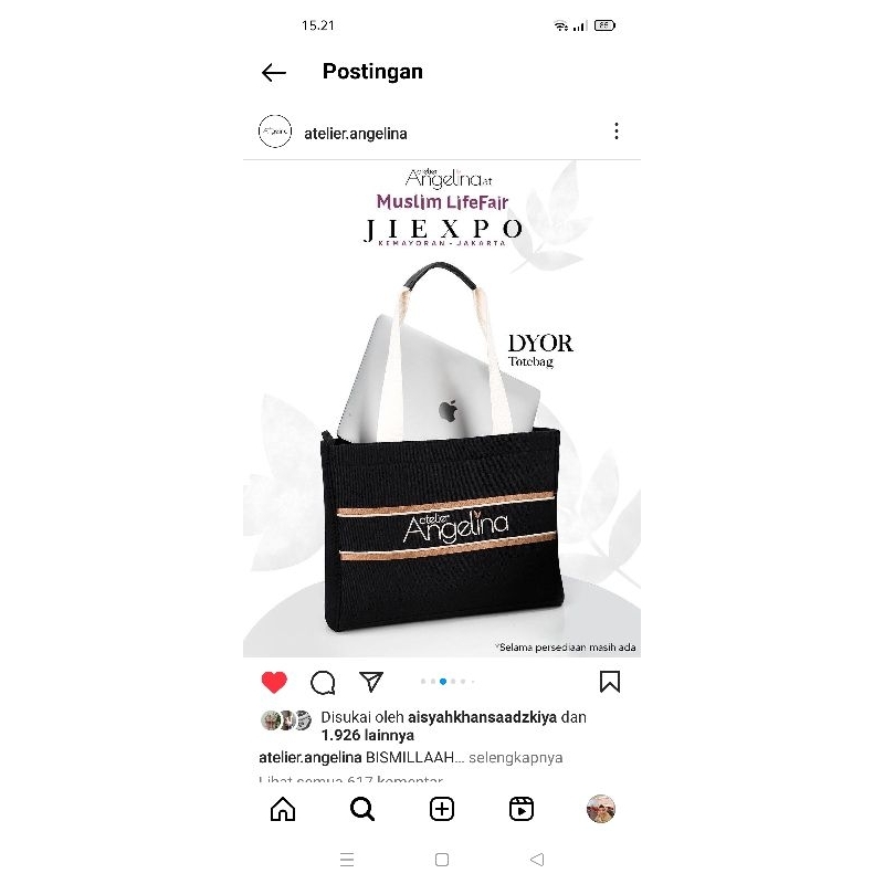 MLF Dior Totebag Atelier angelina