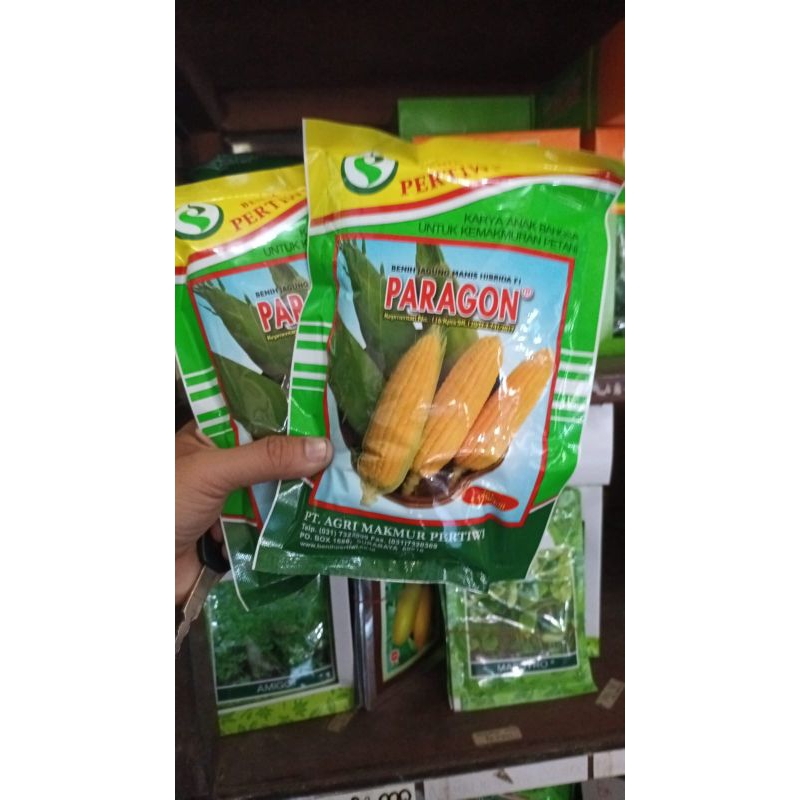 Benih UNGGUL PRIMA JAGUNG MANIS PARAGON ISI 1750 BUTIR