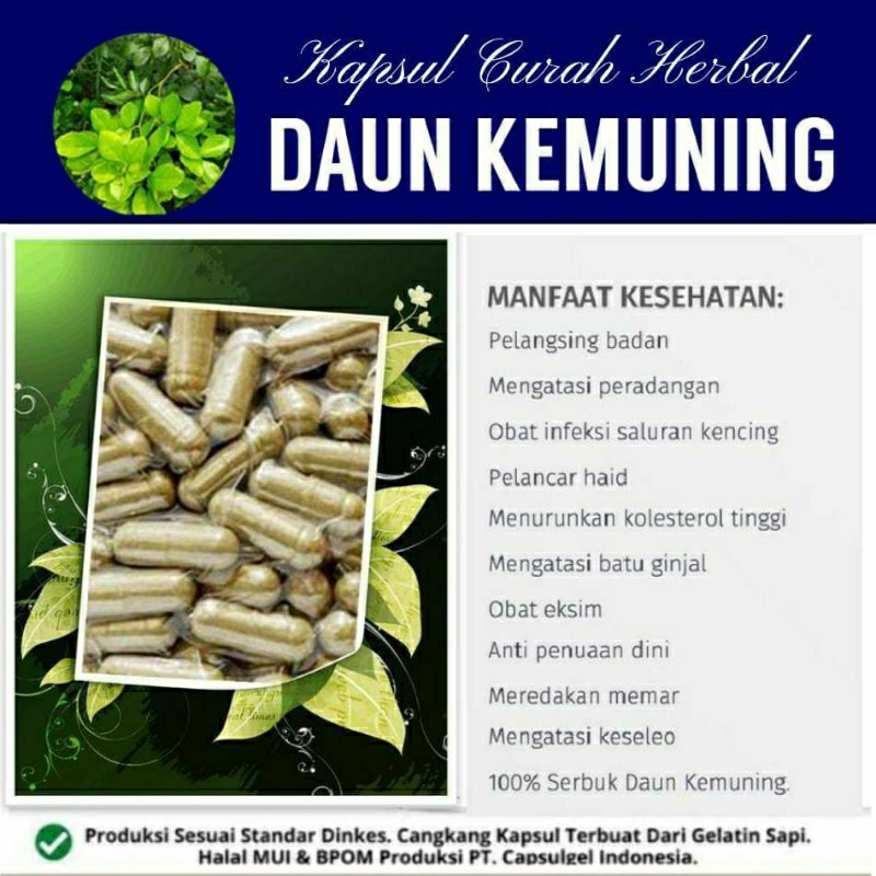 

DAUN KEMUNING 100 KAPSUL OBAT HERBAL ALAMI (GRADE A5)