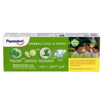 Pepsodent Herbal Complete8 190g Buy 1 get 1