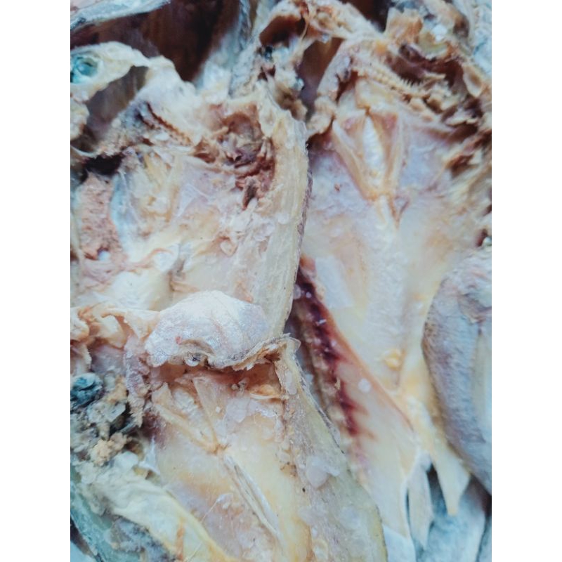 

balur asin klotok balur glomo 250 gram