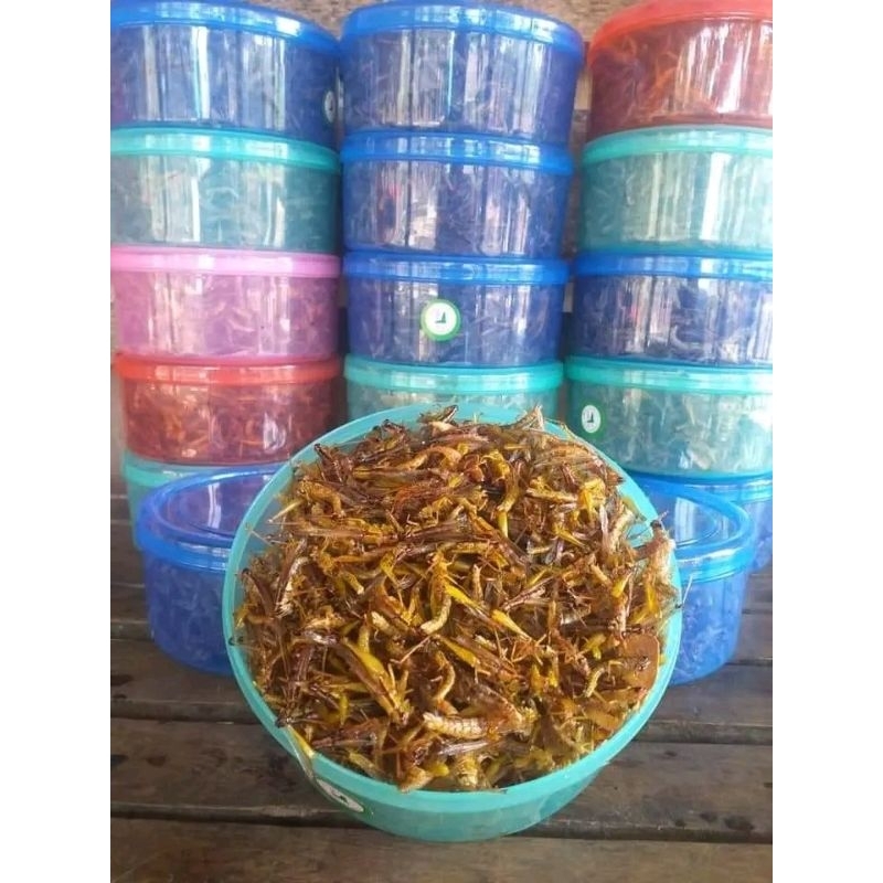 

BELALANG GORENG UTIS/KECIL TOPLES WARNA